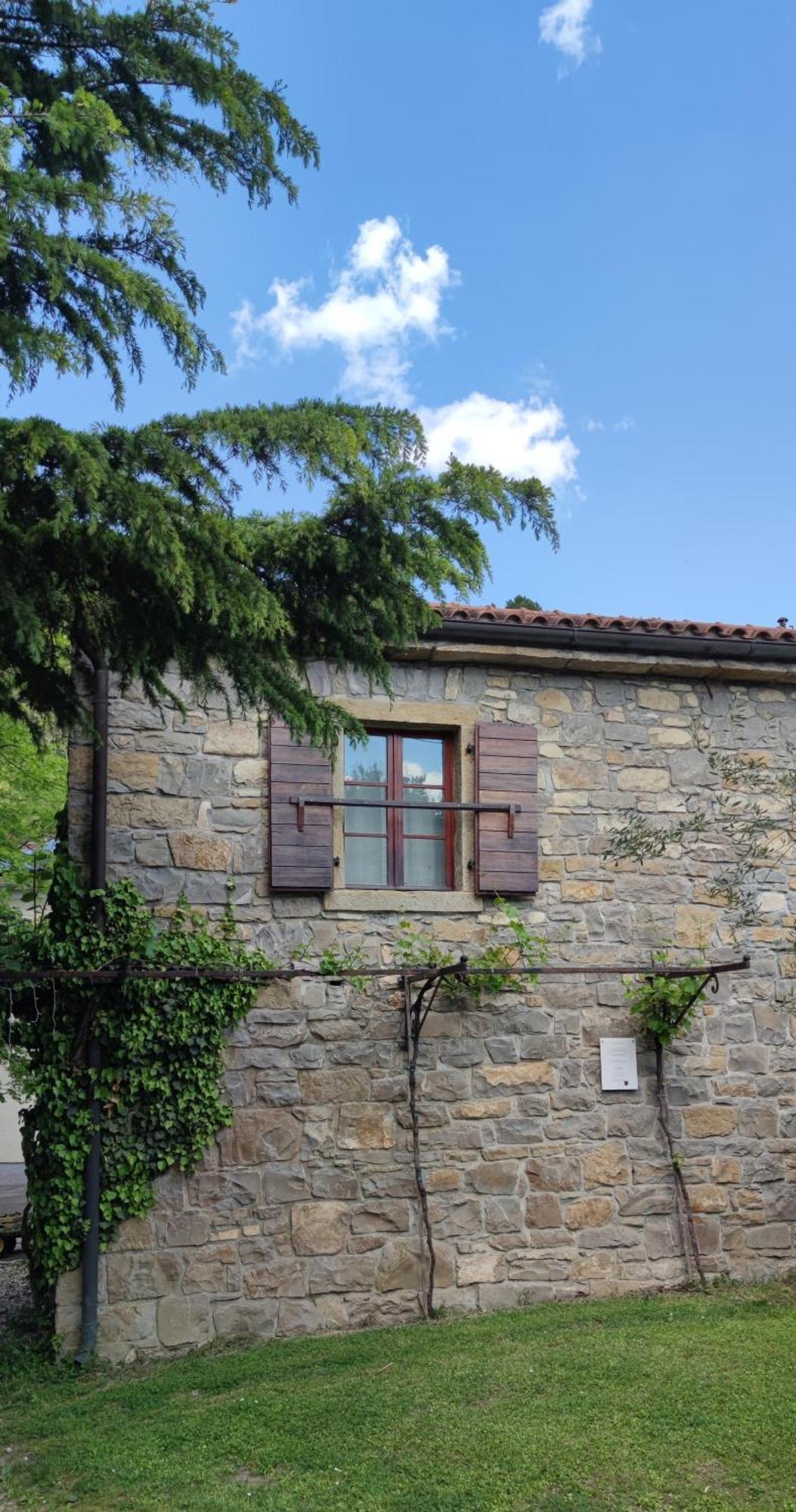 Bordon Wines, Estate With Accommodation Dekani Kültér fotó